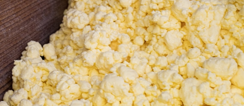 Écrémage du lait pour séparer la crème, une étape essentielle dans la fabrication beurre Échiré