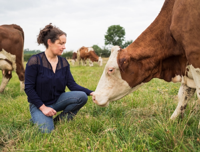 Prairies du terroir Poitou-Charentes, source du beurre Charente Poitou AOP